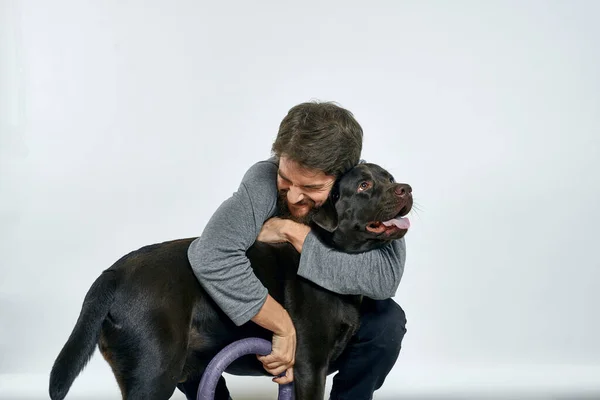 Man with dog training γκρι δαχτυλίδι κάνει ασκήσεις κατοικίδια ζώα φως φόντο. — Φωτογραφία Αρχείου