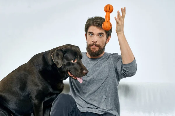 Hombre propietario jugar con el perro en el sofá entrenamiento divertido luz habitación amigos mascota — Foto de Stock