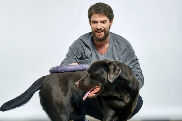 Hombre con perro entrenamiento gris anillo haciendo ejercicios mascotas fondo claro. — Foto de Stock