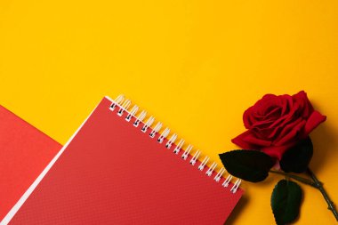 Kırmızı not defteri ve gül sarı arka planda kırpılmış üst görünümde