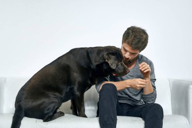 Erkek sahibi kanepede köpekle oynuyor. Eğlenceli ışık odası arkadaşları evcil hayvanı eğitiyor.