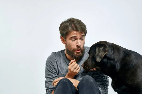 Happy owner with pet black dog training model emotions — Stock Photo, Image