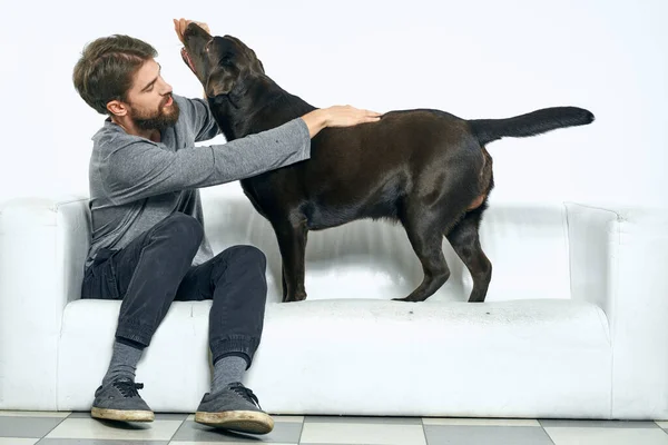 Hombre con un perro negro en un sofá blanco sobre un fondo claro primer plano recortado vista mascota amigo humano emociones diversión —  Fotos de Stock