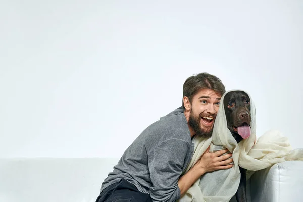 Hombre Con Entrenamiento Perros Sobre Fondo Claro Foto Alta Calidad — Foto de Stock