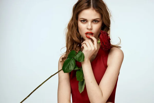 Ładna kobieta z różą w rękach urok prezent styl życia studio lekkie tło — Zdjęcie stockowe