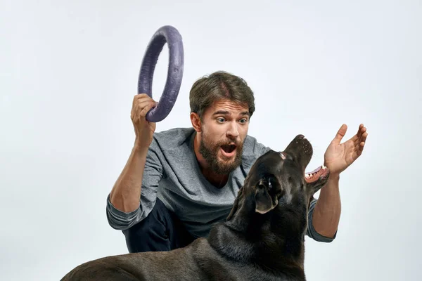 Hombre Con Entrenamiento Perros Sobre Fondo Claro Foto Alta Calidad — Foto de Stock