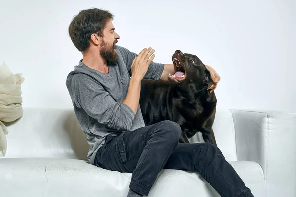 Feliz hombre y perro en el sofá En una habitación luminosa mascota es un amigo del hombre — Foto de Stock
