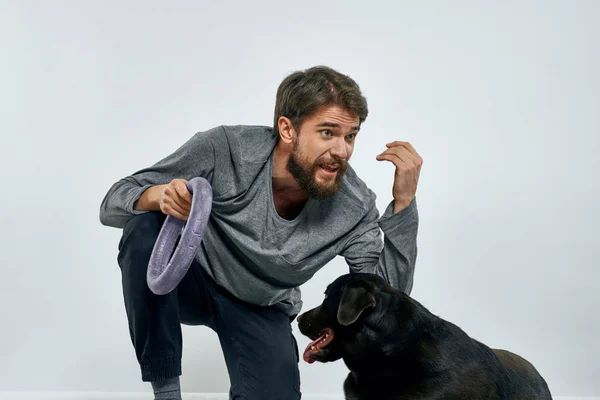 Hombre con perro entrenamiento gris anillo haciendo ejercicios mascotas fondo claro. — Foto de Stock