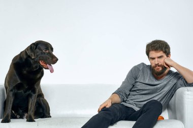 Erkek sahibi kanepede köpekle oynuyor. Eğlenceli ışık odası arkadaşları evcil hayvanı eğitiyor.
