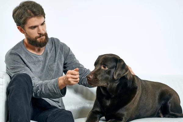 man with a black dog on a white sofa on a light background close-up cropped view pet human friend emotions fun