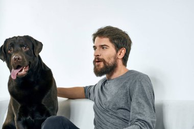 Erkek sahibi kanepede köpekle oynuyor. Eğlenceli ışık odası arkadaşları evcil hayvanı eğitiyor.