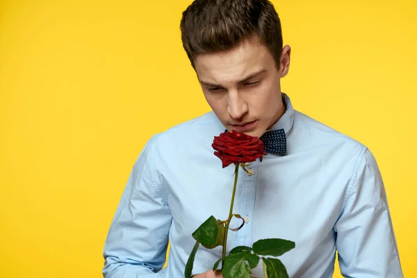 Портрет чоловіка з червоною трояндою на жовтому тлі і легкою сорочкою краватка джентльмен — стокове фото