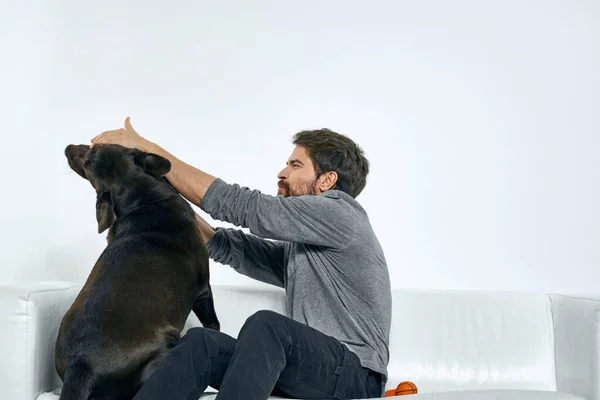 Hombre propietario jugar con el perro en el sofá entrenamiento divertido luz habitación amigos mascota — Foto de Stock