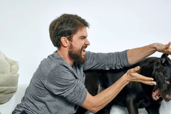 Feliz hombre y perro en el sofá En una habitación luminosa mascota es un amigo del hombre — Foto de Stock