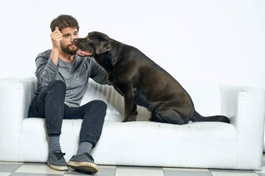 Beyaz bir kanepede siyah köpeği olan bir adam. Arka planda, yakın planda kesilen evcil hayvan insan arkadaş duyguları. Eğlenceli.