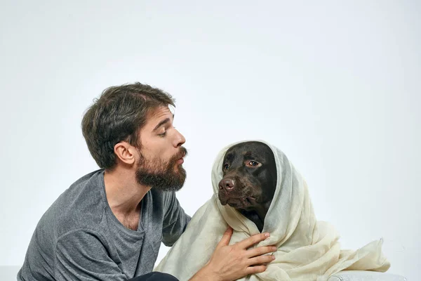 Hombre Con Entrenamiento Perros Sobre Fondo Claro Foto Alta Calidad — Foto de Stock