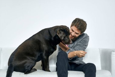 Erkek sahibi kanepede köpekle oynuyor. Eğlenceli ışık odası arkadaşları evcil hayvanı eğitiyor.