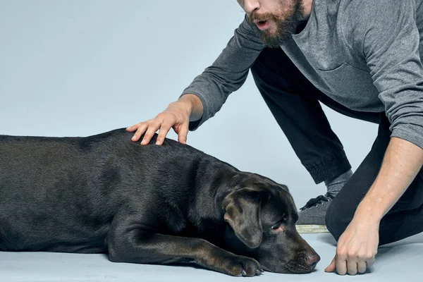 El hombre entrena al perro en interiores y gestos con las manos para ejecutar los comandos modelos — Foto de Stock