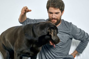 Erkek sahibi kanepede köpekle oynuyor. Eğlenceli ışık odası arkadaşları evcil hayvanı eğitiyor.