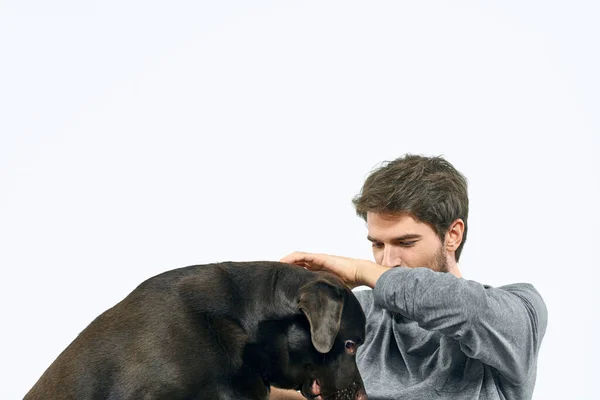 Hombre Con Entrenamiento Perros Sobre Fondo Claro Foto Alta Calidad — Foto de Stock