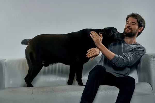 Hombre Con Entrenamiento Perros Sobre Fondo Claro Foto Alta Calidad — Foto de Stock