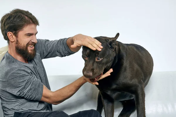 Feliz hombre y perro en el sofá En una habitación luminosa mascota es un amigo del hombre — Foto de Stock