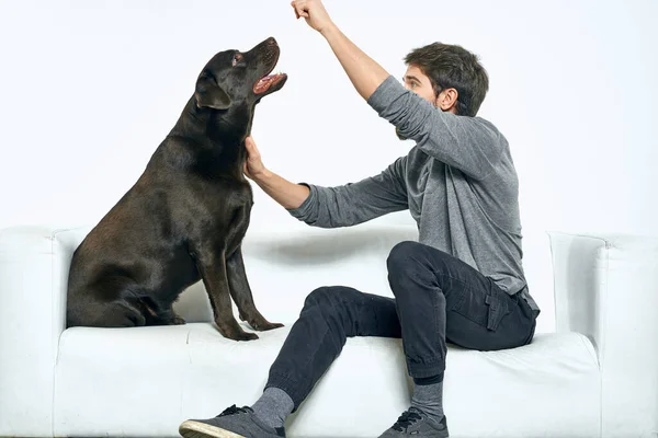 Hombre con un perro negro en un sofá blanco sobre un fondo claro primer plano recortado vista mascota amigo humano emociones diversión — Foto de Stock