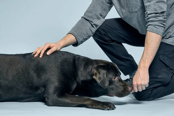 El hombre entrena al perro en interiores y gestos con las manos para ejecutar los comandos modelos — Foto de Stock