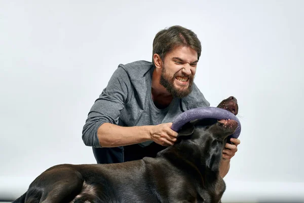 happy owner with pet black dog training model emotions