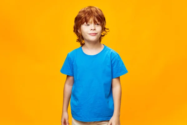 Smiling boy looking ahead is plotting something in blue t-shirt cropped view