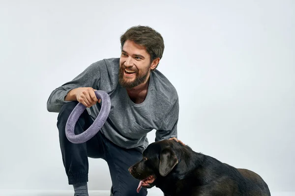 Homme avec dressage de chien anneau gris faisant des exercices animaux de compagnie arrière-plan léger. — Photo