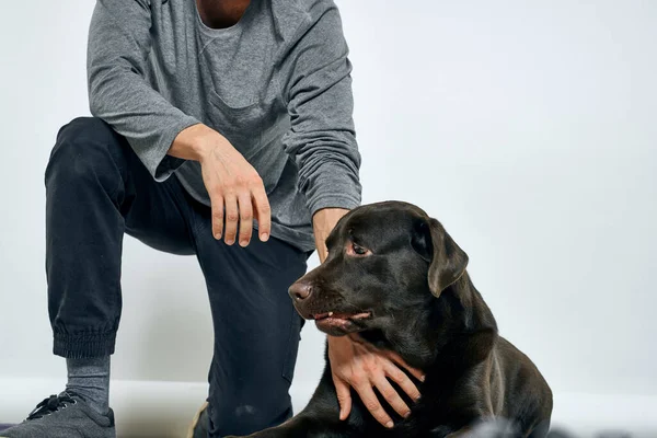 Hombre con perro entrenamiento gris anillo haciendo ejercicios mascotas fondo claro. — Foto de Stock