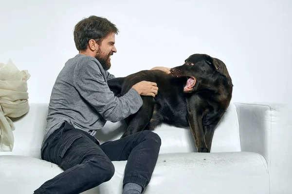 Lycklig man och hund på soffan I ett ljust rum husdjur är en vän till människan — Stockfoto