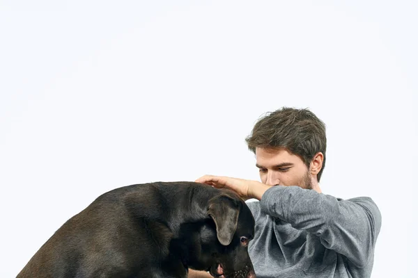 the owner playing  with the dog on a white background. High quality photo