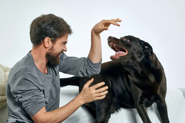 Feliz hombre y perro en el sofá En una habitación luminosa mascota es un amigo del hombre — Foto de Stock