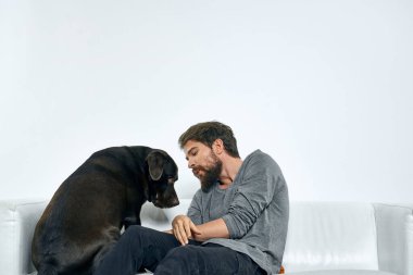 Erkek sahibi kanepede köpekle oynuyor. Eğlenceli ışık odası arkadaşları evcil hayvanı eğitiyor.