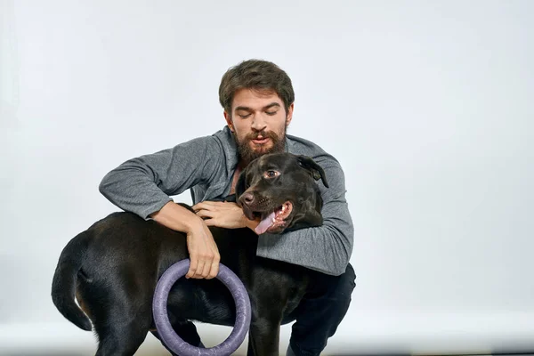 Hombre con perro entrenamiento gris anillo haciendo ejercicios mascotas fondo claro. — Foto de Stock