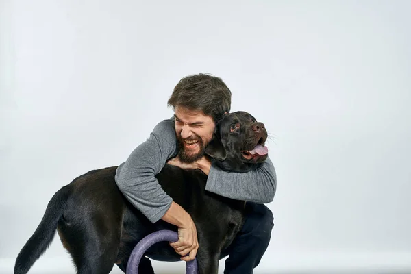 Man med hund utbildning grå ring gör övningar husdjur ljus bakgrund. — Stockfoto