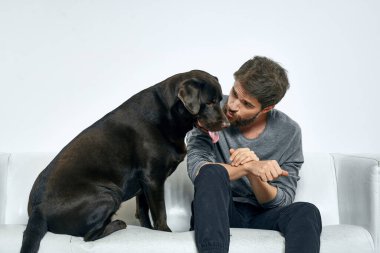 Erkek sahibi kanepede köpekle oynuyor. Eğlenceli ışık odası arkadaşları evcil hayvanı eğitiyor.