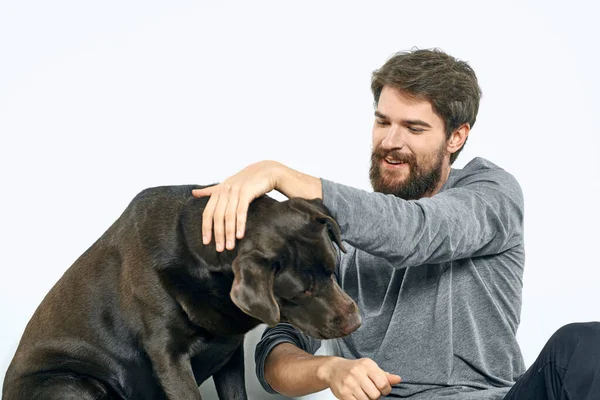 El propietario juega con el perro en un sofá blanco En una habitación luminosa divertido primer plano vista amigos mascota — Foto de Stock