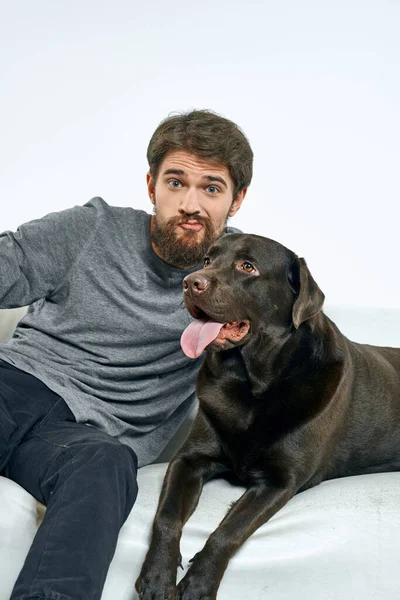 Beyaz bir kanepede siyah köpeği olan bir adam. Arka planda, yakın planda kesilen evcil hayvan insan arkadaş duyguları. Eğlenceli.