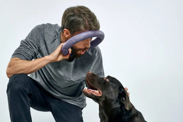 Man med hund utbildning grå ring gör övningar husdjur ljus bakgrund. — Stockfoto