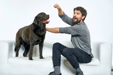 Sahibi köpekle beyaz bir kanepede oynuyor. Parlak bir odada. Yakın planda çekilmiş eğlenceli bir manzara.