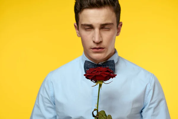 Gentleman in shirt and bow tie around his neck yellow background red rose — Stock Photo, Image