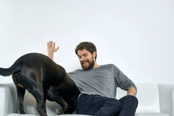 Man with a pet dog on the couch fun friends emotions light room