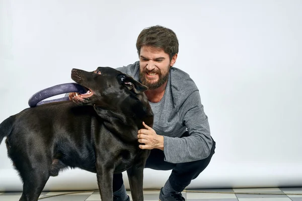 Hombre con perro entrenamiento gris anillo haciendo ejercicios mascotas fondo claro. — Foto de Stock