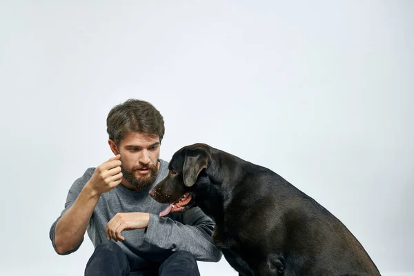 Boldog tulajdonos kisállat fekete kutya képzés modell érzelmek — Stock Fotó