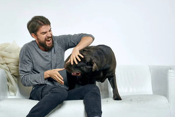 Feliz hombre y perro en el sofá En una habitación luminosa mascota es un amigo del hombre — Foto de Stock