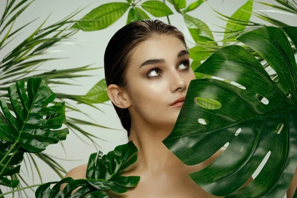 Piel limpia hermosa mujer cosmetología verde palmera. —  Fotos de Stock