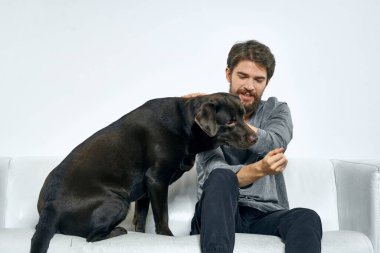 Erkek sahibi kanepede köpekle oynuyor. Eğlenceli ışık odası arkadaşları evcil hayvanı eğitiyor.